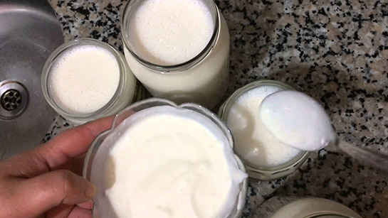 Ev Yapımı Yoğurt Ev Yapımı Yoğurt