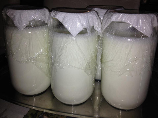 Fırında Yoğurt Mayalama Tarifi ve Malzemeleri