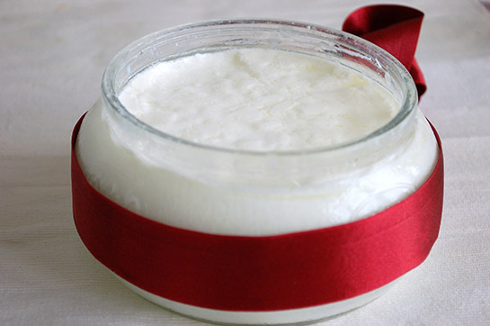 Hazır Yoğurt Mayası Tarifi ve Malzemeleri