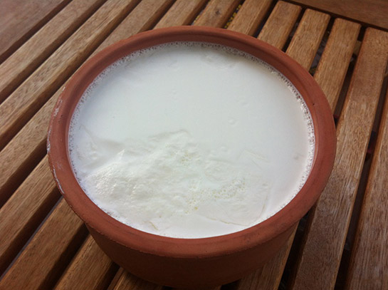 Light Yoğurt Kaç Kalori?