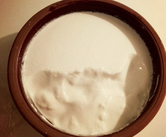 Probiyotik Yoğurt Faydaları Nelerdir?