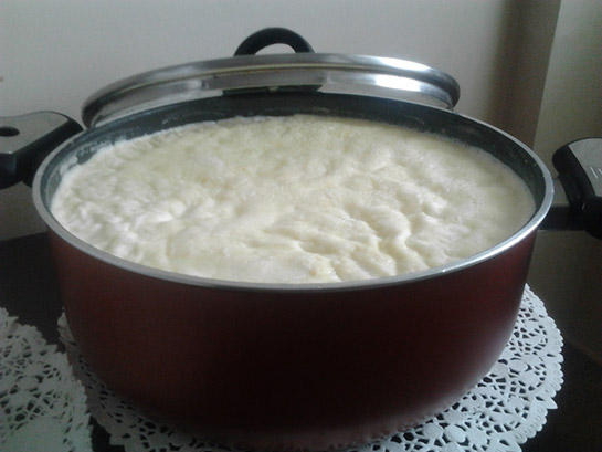 Yoğurt Mayalama Tarifi ve Malzemeleri